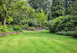 Optimiser l'expérience du jardin à Lugny