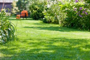 travaux jardin et paysage Lugny